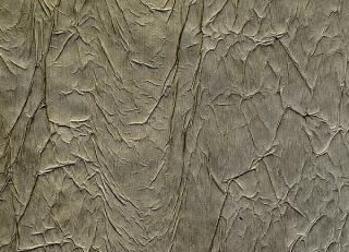 Фото - Обои Arlin Velawall - 342117>