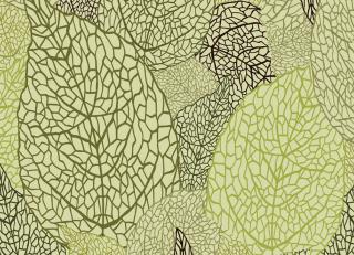 Фото - Обои Ango Linea Natural - 330850>