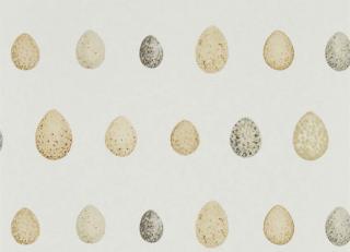 Фото - Обои Sanderson Embleton Bay - 370519>