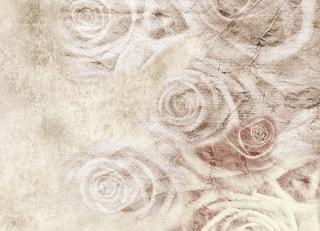 Фото - Обои Ango Linea Natural - 330851>