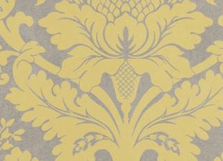 Фото - Обои Equipo DRT - 405557>