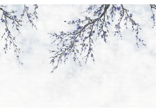 Фото - Обои Ada Wall Fiji Mural Collection - 528979>