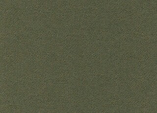 Фото - Ткани Holland & Sherry Bespoke Twill - 632527>