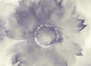 Фото - Обои KT Exclusive L'Atelier de Paris - 434600>