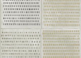 Фото - Обои Wall&Deco CODE 2017 WET SYSTEM - 462650>