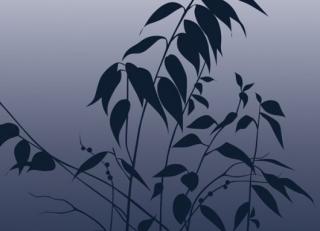 Фото - Обои для стен Mr Perswall - 234972>