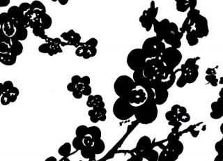 Фото - Обои Tres Tintas Hit - 197930>