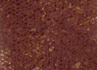 Фото - Обои Elitis Natural mood - 469438>