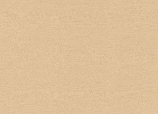 Фото - Ткани Rubelli Sharky - 624112>