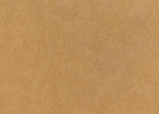 Фото - Персиковые флизелиновые обои на стену - 220091>