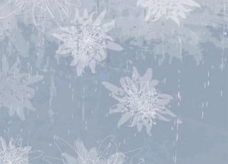 Фото - Обои Ango Linea Natural - 330843>