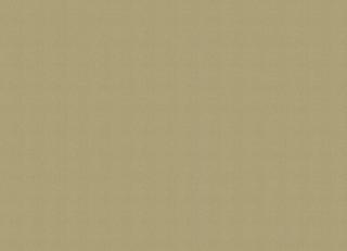 Фото - Обои для стен Chivasso - 578786>