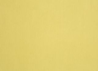 Фото - Обои Caselio Seasons - 231445>