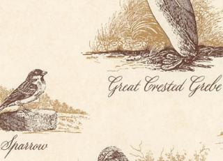 Фото - Обои Lewis & Wood Classical Wallpapers - 212583>