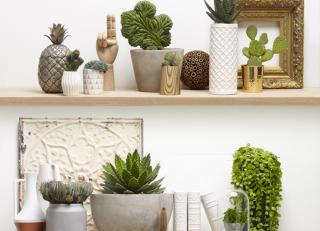 Фото - Обои Koziel Nature wallpapers - 326725>