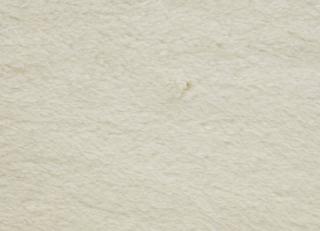 Фото - Ткани Lelievre Himalaya - 470026>