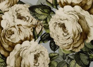 Фото - Обои Designers Guild John Derian - Picture Book - 412192>