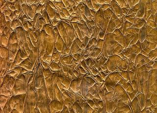 Фото - Обои Arlin Velawall - 342137>