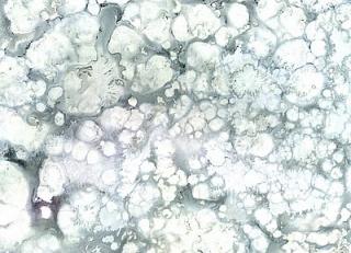 Фото - Обои Arlin Sweet Stones - 341996>