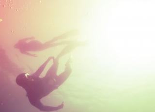 Фото - Обои Mr Perswall Adventure - 234421>