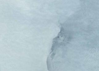 Фото - Обои Phillip Jeffries Flight - 420274>