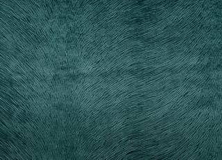 Фото - Ткани Gancedo Passion - 491843>