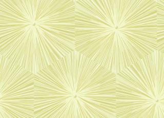 Фото - Фисташковые бумажные обои на стену - 216049>