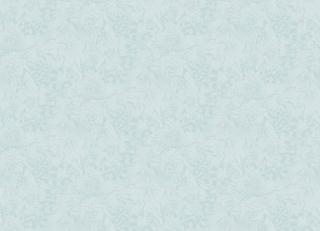 Фото - Обои Tres Tintas Sophie - 198137>