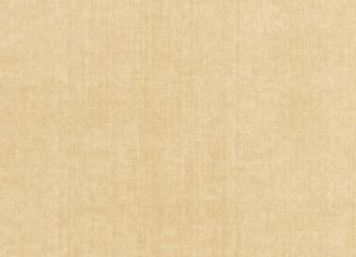 Фото - Обои Thibaut Grasscloth Resource Volume 2 - 228152>