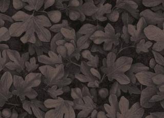 Фото - Обои Khroma Kent - 458877>