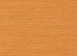 Фото - Обои Elitis Tribus - 621568>