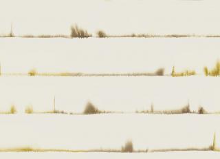 Фото - Обои Mayflower by Kt Exclusive Solaris - 350021>