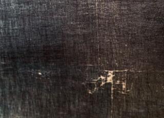 Фото - Обои Elitis Paradisio - 262180>