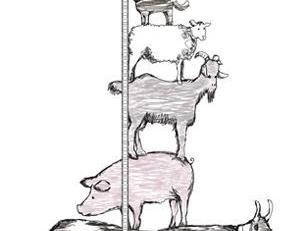 Фото - Обои Mr Perswall Hide&Seek - 234860>