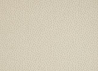 Фото - Обои для стен Anna French - 244108>