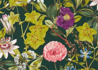 Фото - Обои Clarke&Clarke Exotica 2 - 552677>