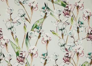 Фото - Ткани Alessandro Bini Iris - 568312>