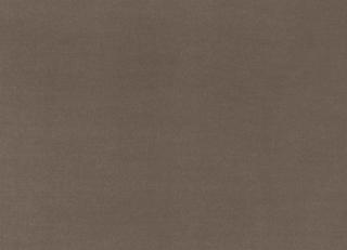 Фото - Ткани Nobilis Velours Oskar - 556641>