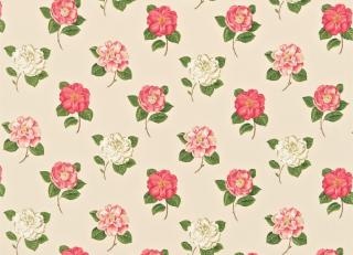 Фото - Ткани Sanderson Maycott Prints - 451769>