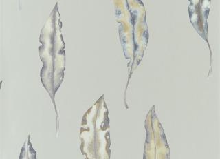 Фото - Обои Harlequin Anthozoa - 342819>