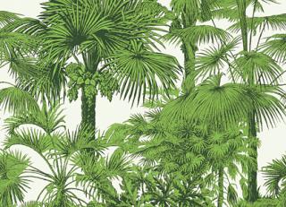 Фото - Обои Thibaut Tropics - 442604>