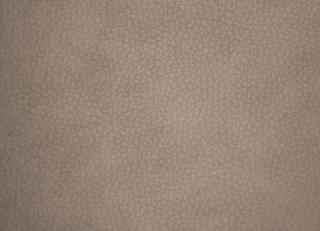 Фото - Ткани Alessandro Bini Eco leather - 438692>