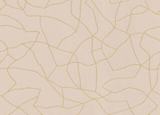 Фото - Ткани Dedar Tat Tvam - 630676>