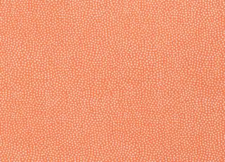 Фото - Обои Thibaut Paramount - 425164>