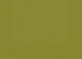 Фото - Ткани Faboie Plain VII - 575500>