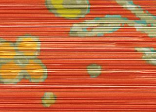 Фото - Обои Elitis Opulence - 262119>