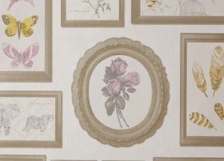 Фото - Обои Caselio Curiosity - 223595>