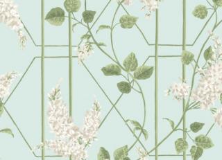 Фото - Обои Cole & Son Botanical Botanica - 400026>