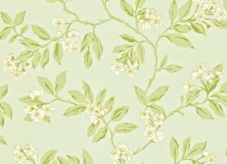 Фото - Обои Sanderson Maycott - 188070>