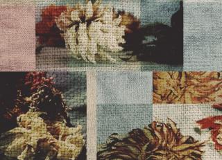 Фото - Ковры Ege Carpets Wall-to-wall carpets - 503239>